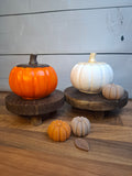 Calabaza Encantada 🎃