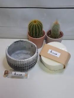 Recambio de vela ecológica de 9 cm con mechas de madera