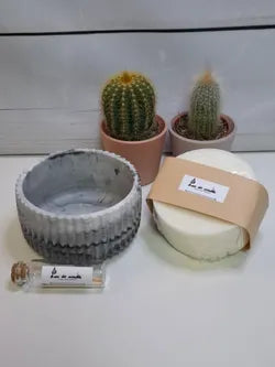 Recambio de vela ecológica de 9 cm con mechas de madera