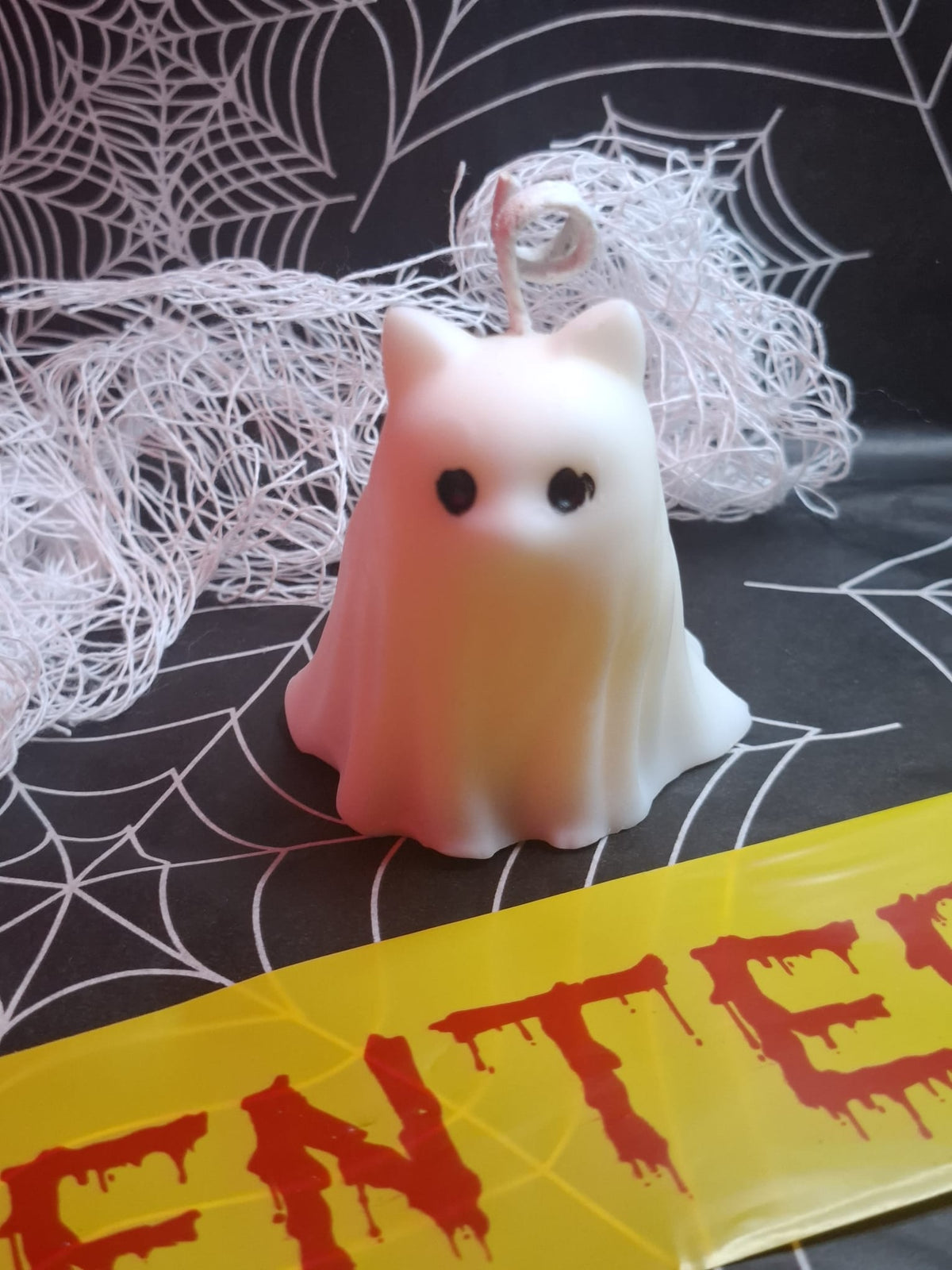 🐈‍⬛ Gatástrofe