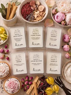 Tabletas de Wax Melt 100% cera de soja ecológica